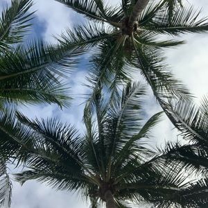 Meet your Posher, Skylar